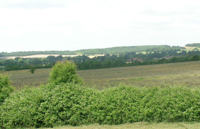 Juliet Cottage - Foto 13