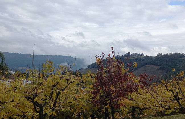 Tour dell'immigrazione italiana a Caxias do Sul - Foto 7