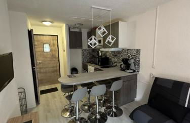 Résidence les Mélèzets 2 au pieds des pistes et des commerces - Photo 1