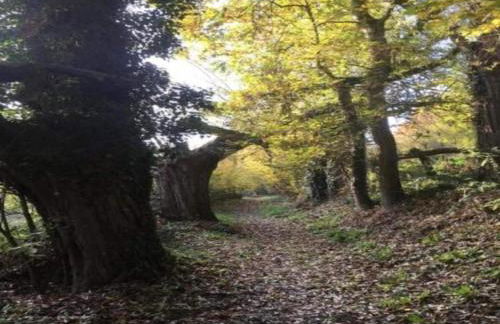 Stay near Pointe du Raz & Beach - Foto 76