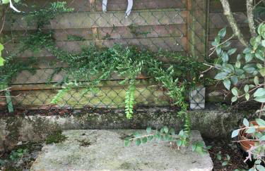 Gîte 10G263 - Photo 17