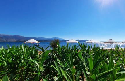 Alekos Beach Houses - Alekos Beach Complex - Photo 102