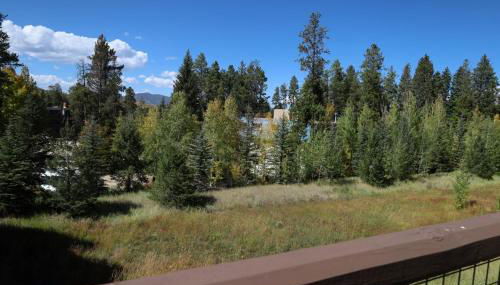 Rendezvous - 99 Stagecoach - Foto 4