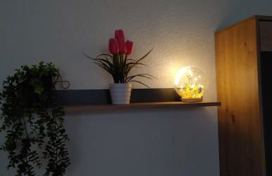 Bei Charlotte - Foto 31