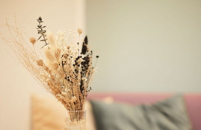 Gästehaus im Schlosspark - Foto 11