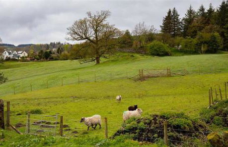 Jane's Cottage - Foto 29