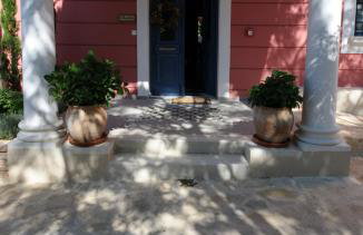 Metohi Georgila - Foto 29