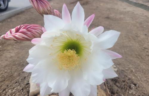 La Llar de Laura - Foto 22