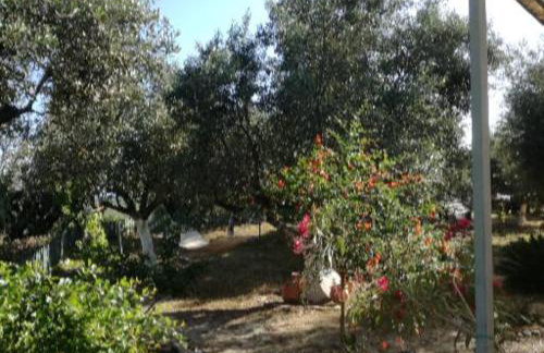 Sunny holiday home - Foto 13