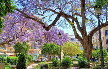 The Secret Oasis Malaga - Foto 42