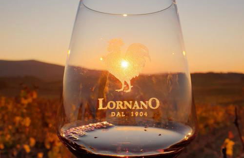 Fattoria Lornano Winery - Foto 90