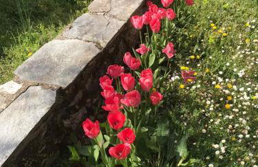 ΕΞΟΧΙΚΗ ΚΑΤΟΙΚΙΑ ΕΥΑΓΓΕΛΙΑ - Foto 19