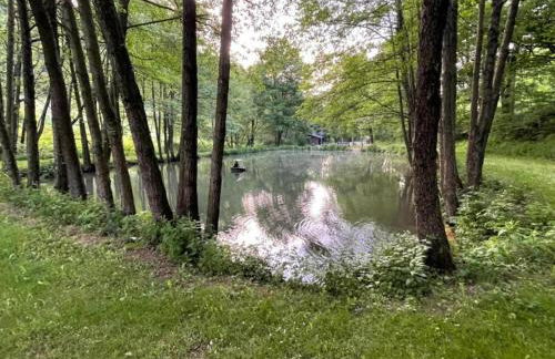 Ferienwohnung in der Nähe von Willingen - Foto 75