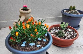 Casa Vacanze Rainbow, Siracusa - Foto 61