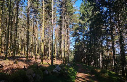 Chalet à L'Orée du Bois - Foto 36