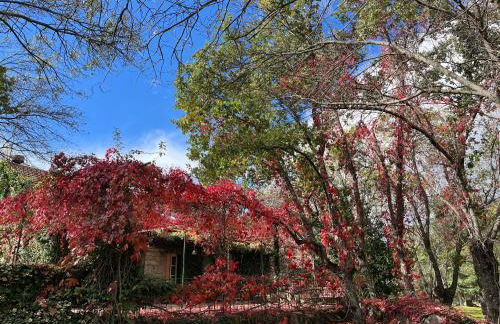 Finca La Machota Centro de Naturaleza - Foto 62