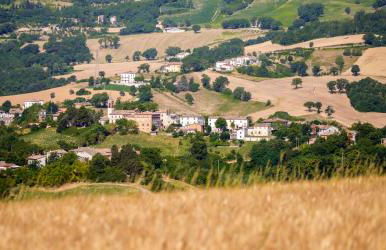 Il Sogno di Tino - Foto 25