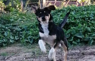 CRASTO PAYVA DOURO NATURE - Foto 42