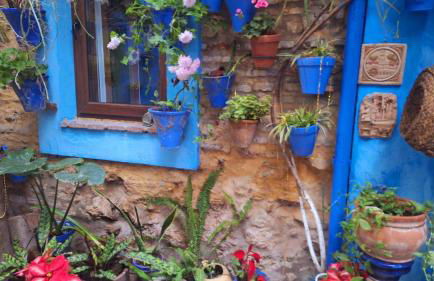 El patio azul Bohemio Mágico - Foto 10