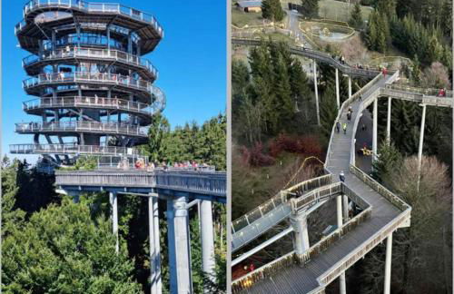 Fewo Kleine Auszeit - Foto 43