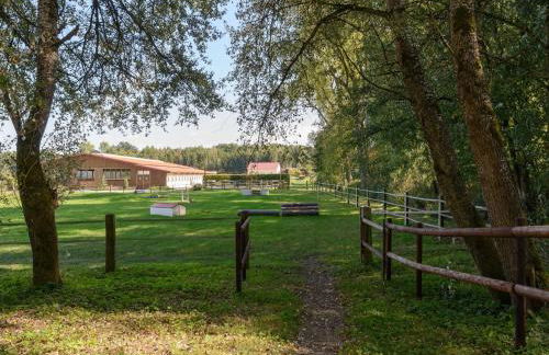 Cozy Holiday Home on a Horse Farm in the Luneburg Heath - Foto 79