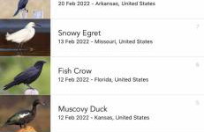 Private Tropical Waterfront Sanctuary w pool, hot tub & an island! Pet Friendly - Foto 78