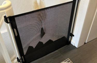 FeWo Landleben in Ferch - Foto 36