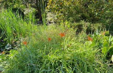 La Charmeraie : Le Logis - Foto 31