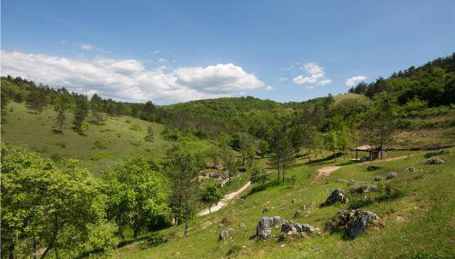 Pet Friendly Home In Trviz With Wifi - Foto 2