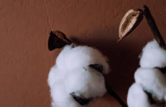 Stodoła naturalnie - wyjątkowy dom z balią na Kaszubach nad jeziorem - Foto 46