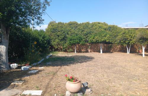 ΆΘΟΣ (ATHOS) - Foto 15