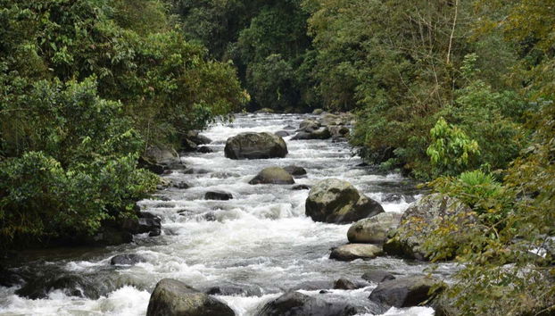 Paseando por el santuario