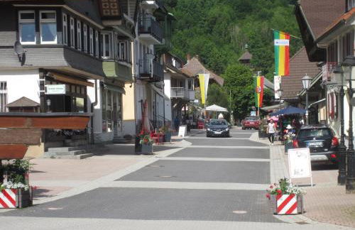 Ferienwohnung Todtmoos - Foto 19