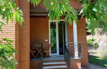 L'acero - Foto 11