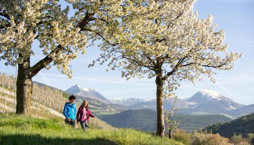 Moarhof - Apartments and moar - Photo 5