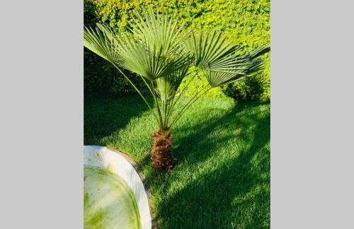 VILLA ON TOP MONTE SÃO FELIX - Foto 47