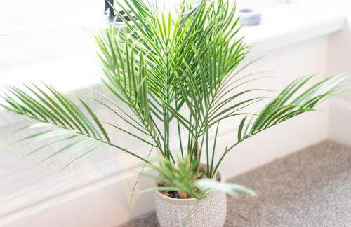 Newly-renovated, mid-terrace cottage in Porthmadog - Photo 32