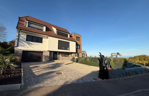 L'écrin d'Anne et Stéphane - vue sur Strasbourg - Foto 28