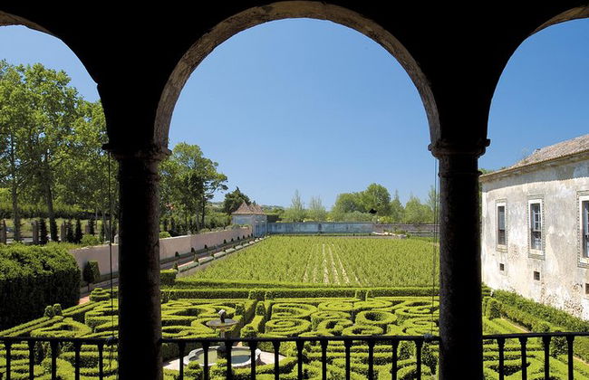Arrabida and Bacalhoa Wine Tasting Private Tour from Lisbon - Photo 1