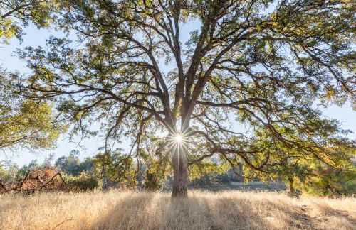 Rolling Oaks Ranch - 200 Acres of Lakeside Beauty & Countryside Serenity - Foto 40