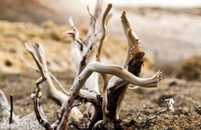 Paradise Apartments - Foto 37