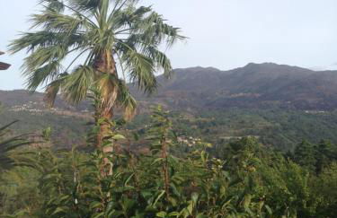 Casa Dos Cabecinhos - Foto 50