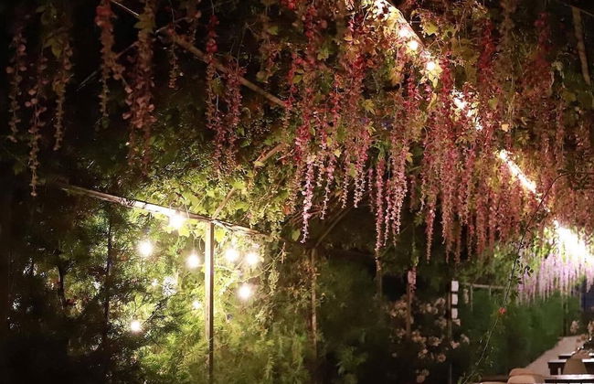 Cross Apartments and Tours - Photo 48