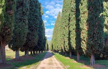 Casa Rossa Vendri - Foto 19