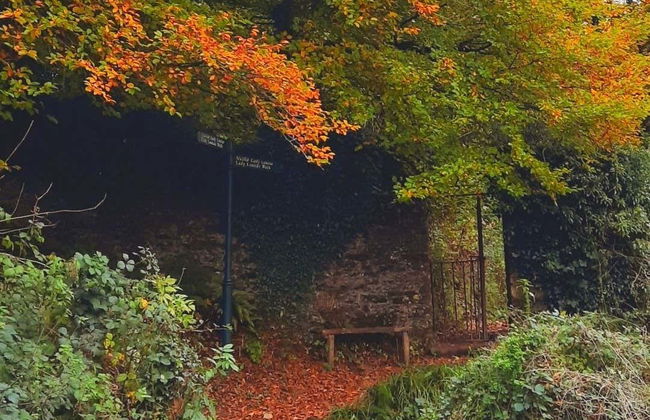 Senderismo por Lady Louisa’s Walk - Foto 8