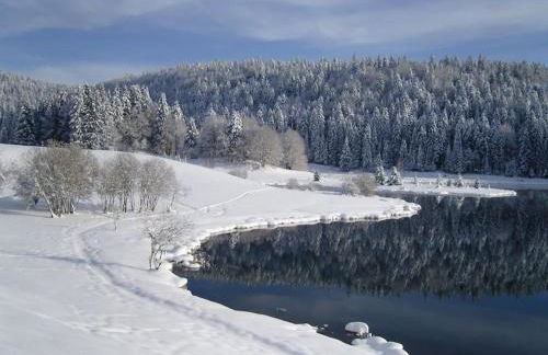 Appart cosy vue montagne, nature & ski à proximité - Foto 13