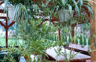 Apartamenty Nad Rzeką - Foto 7