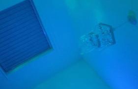 Cedar Townhouse - Foto 17