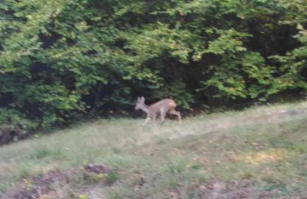 Baita Figliezzi - Foto 46