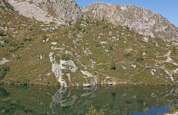 NEW ENTRY - Nuova villa nel verde - Foto 22